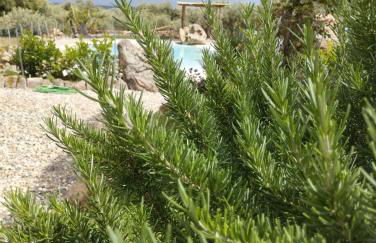 Cuccuru Relax - B IUN Q9882 - Foto 58