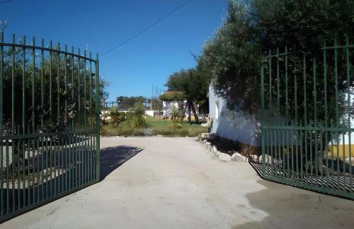 Monte dos Pintos - Foto 54
