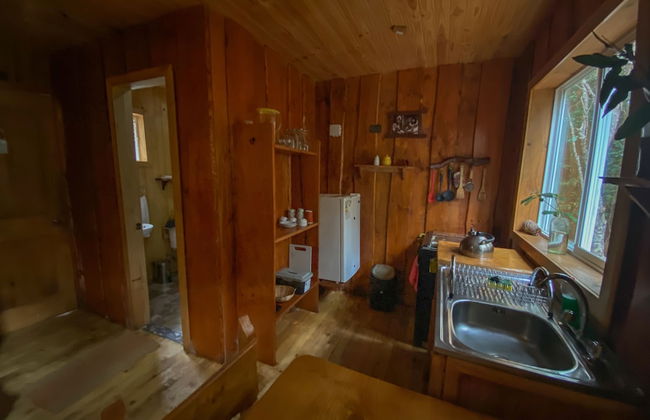 Cabañas Ensenada Bosque Nativo - Foto 17