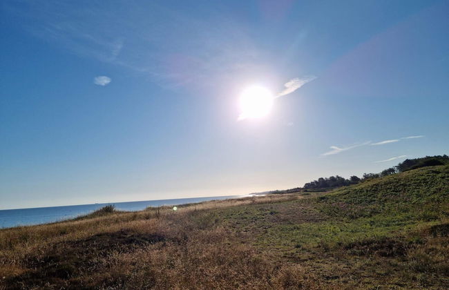 4 Person Holiday Home in Allingabro-by Traum - Foto 14