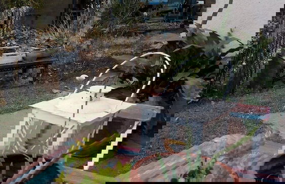 Holiday Home Dark Green House - Foto 34