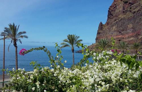 Apartamento Vai Vem - Foto 38