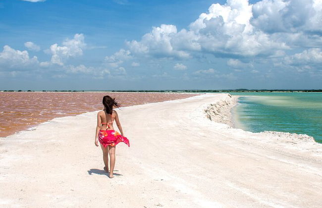 Paradiesische Tour: Las Coloradas Pink Lake und Rio Lagartos inklusive Mittagessen. - Foto 2