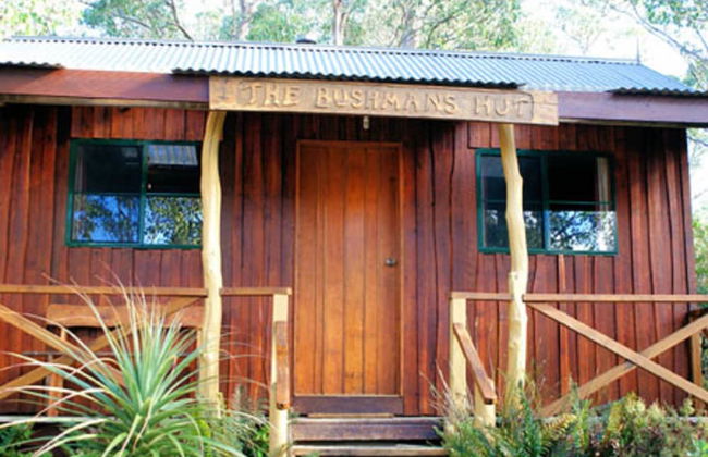 Cradle Highlander - Foto 3