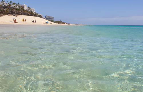 La Cabaña - Fuerteventura - Photo 22