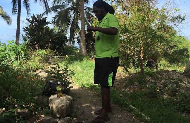 Barbados Chi Guest House - Photo 70