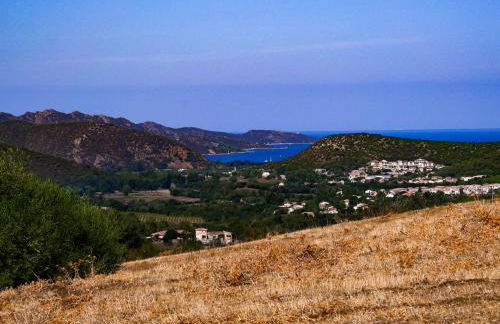 APICULTEUR - Foto 63