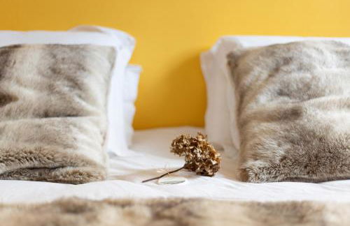 Domaine des Chanoines blancs - Foto 43