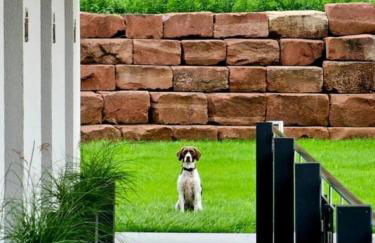 Pfalztraum Fewo's - Foto 22