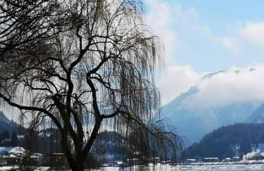 Appartamento Galet - Foto 32