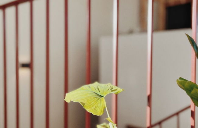 Xom House Bien Ho - Foto 41