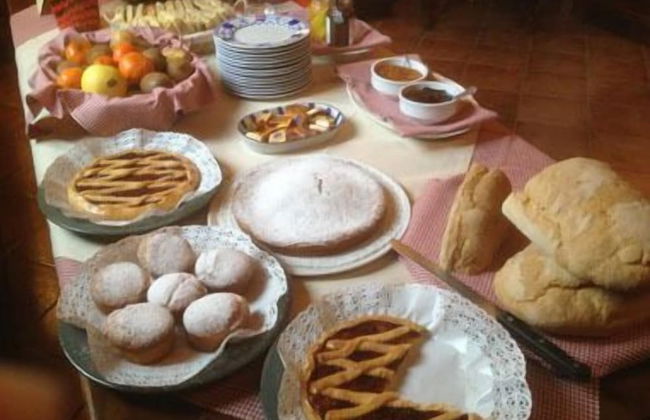 Fattoria Settepassi - Foto 18