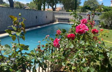 A l'ombre des oliviers - Photo 1