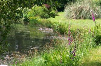 Polgwedhen Lodge - Photo 32