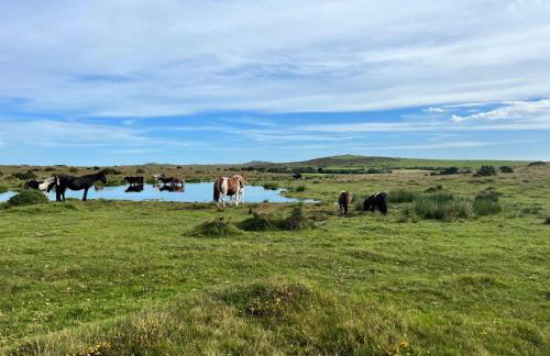 Nuthatch by Together Travel - Luxury Cornish Countryside Retreat - Foto 24