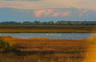 Polys Guest House - Foto 16