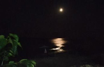 Δίπλα στο κύμα -Βeside the wave - Photo 37