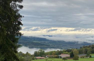 Chalet bois au calme, en lisière de forêt, balcons, sentiers balades Gérardmer & Alsace "Chalet Mon beau sapin" - Foto 70