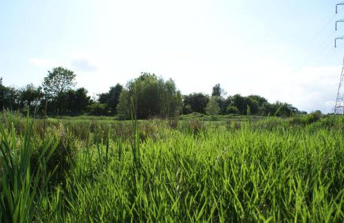 Watercress Barns - Photo 57