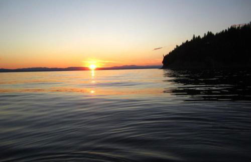 The Big Yellow Camp - Foto 2