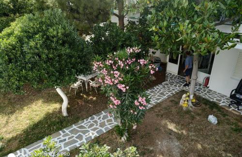 Muses apartments - Photo 26