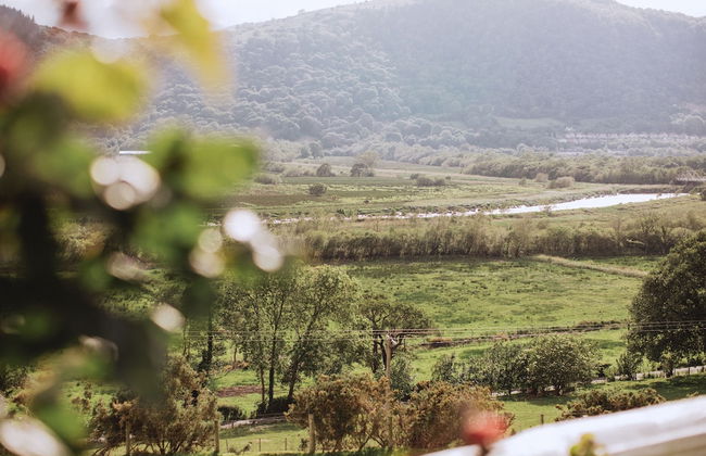 Plas Maenan Country House - Foto 15