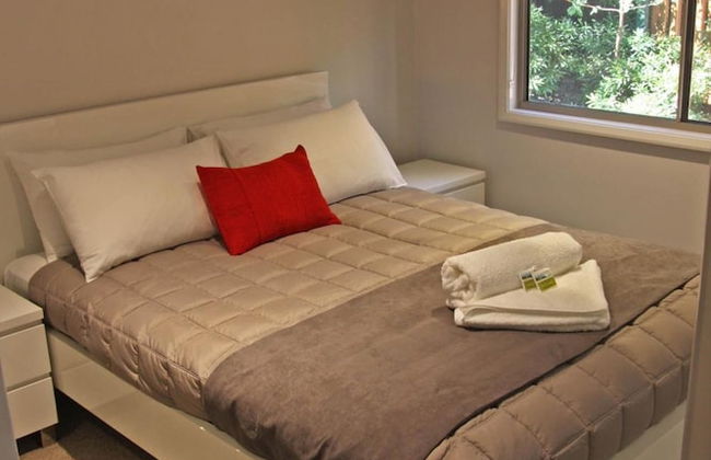 The Palms At Avoca - Photo 7