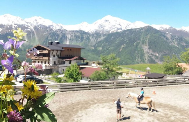 Sonata in the Organic & Riding Stable of Veitenhof - Foto 18