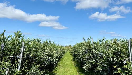 Serafina Lodge - Foto 2