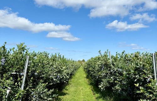 Serafina Lodge - Foto 2