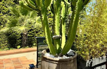 Casa Tanio 150m walking from the village and town of Tamariu - Foto 46