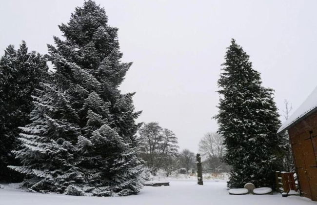 Holiday Home in Germany With Garden Terrace - Foto 26