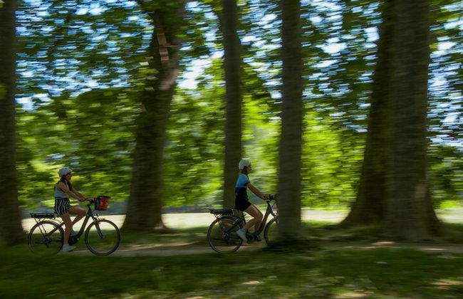 Tour en bicicleta eléctrica por ComhiC - Parque Tête d'Or - 2h - Foto 7
