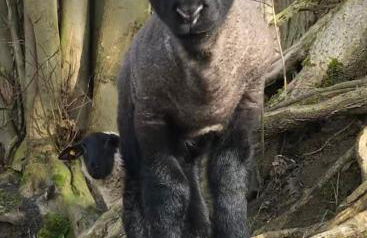 Ferienanlage Gutshaus Gramkow - Foto 21