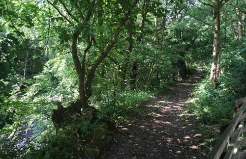 Lovely house next to Euchan River - Foto 28