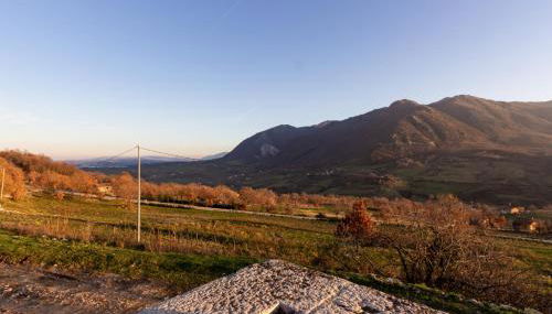 Tenuta San Martino - Foto 5