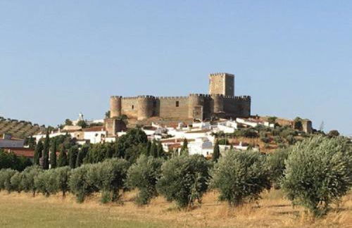 Encosta do Castelo - Foto 58