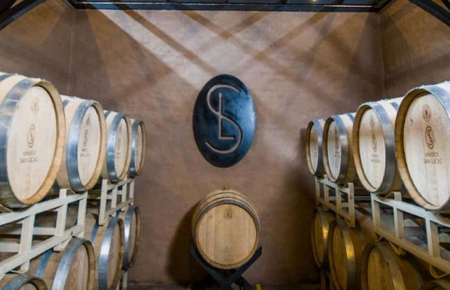 Tour Vineyard in San Miguel de Allende + Mezcal Tasting - Photo 1