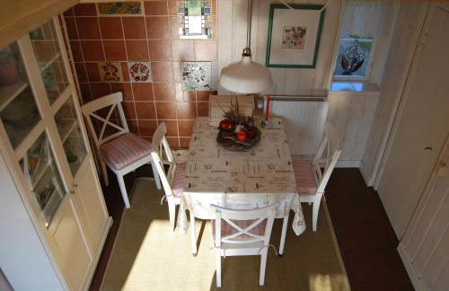 Rittersporn - Foto 8