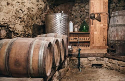 Huber unterm Baum - Foto 15