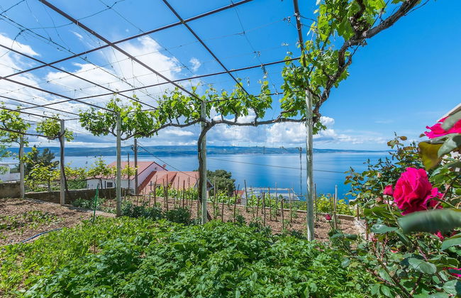 Apartments Jasna - Foto 72