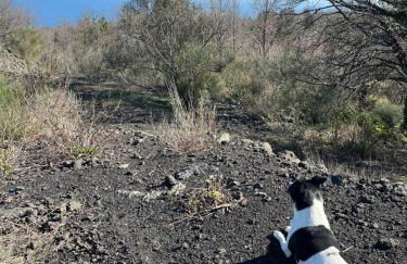 Etna 1928 Country House - Foto 50