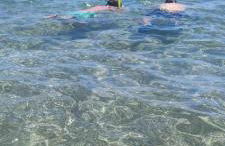 Appartement Vue sur mer - Foto 12