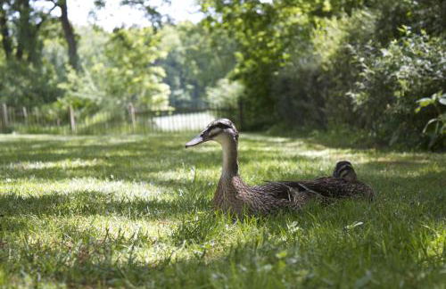 Ostehof Weertzen - Foto 37