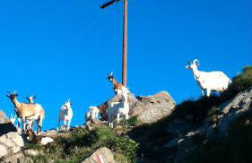 Balcone sulle Dolomiti - Photo 34