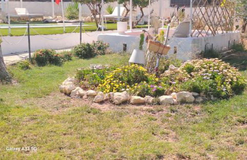 Villa Andres - Foto 38