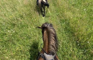 Jurkowa Wola - Foto 13