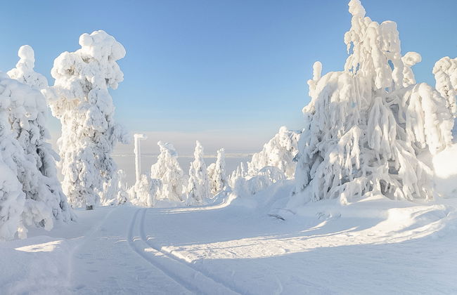 Loma-saaga 3 - Foto 39