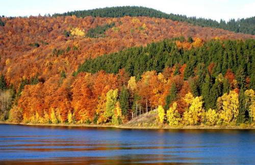 Detached Holiday Residence in the Wonderfully Beautiful Harz - Foto 90