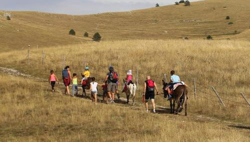 Casa Ladyhawke - Foto 5